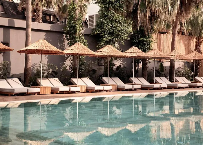 Hotel Cook's Club - Adult Only 12 3*