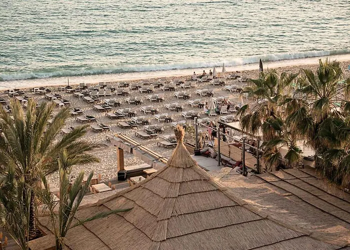 Cook's Club - Adult Only 12