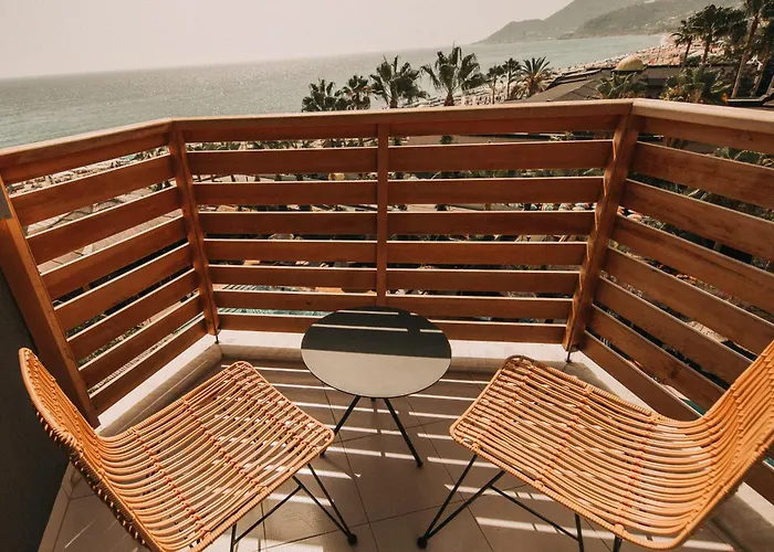 Cook's Club - Adult Only 12 3*